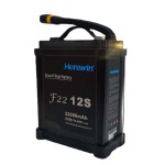 Wholesale Herewin 12S Smart 22000 20C 45.6V 1P Battery Agricultural Plant Protection Battery